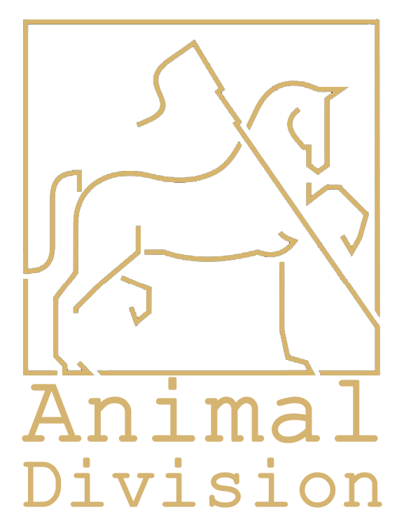  KH Animal Division